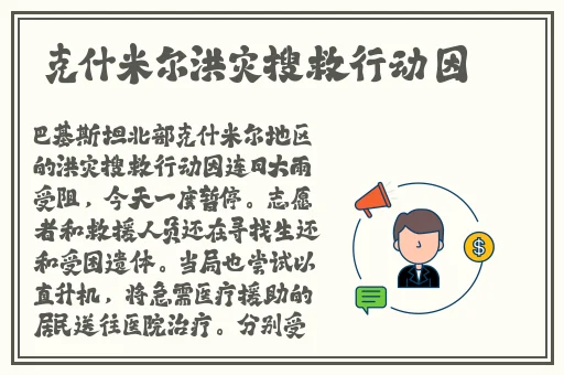 9612黄桃网站进入页面图片